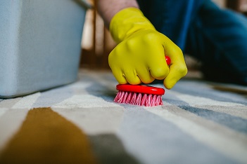 Spot Cleaning Commercial Carpets